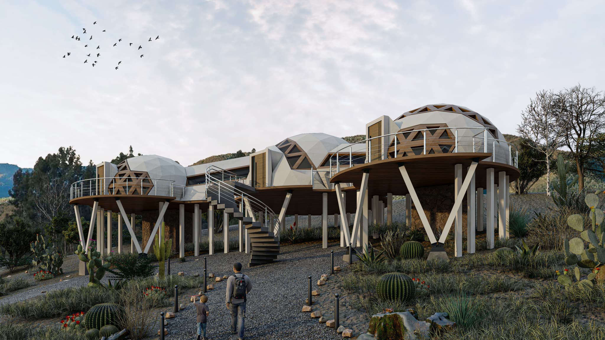 Project image